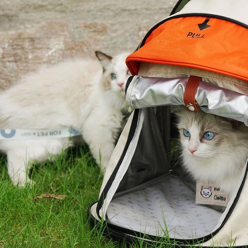 FunnyFuzzy TransformersProTravelCampingTentCatBackpack6