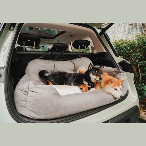 FunnyFuzzy TravelBolsterSafetyMediumLargeDogCarBackSeatBed2 84892150 2b6d 46d5 80c3 2d1388ad10c8