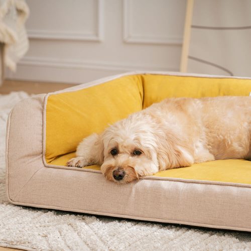 FunnyFuzzy UltimateLoungerFullSupportComfortableOrthopedicDogBed4