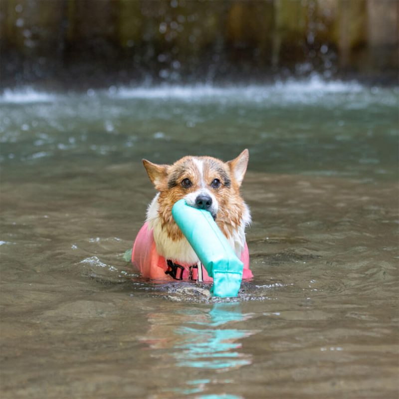 FunnyfuzzyOutdoorInteractiveToysResistanttoPullDogFloatingToys 4