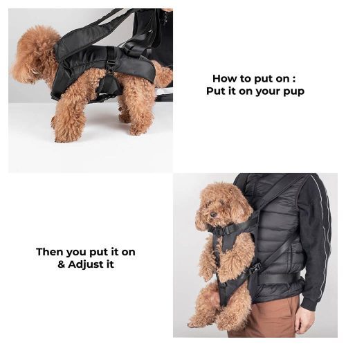 Funnyfuzzy DogCarrierBackpackCockpit7