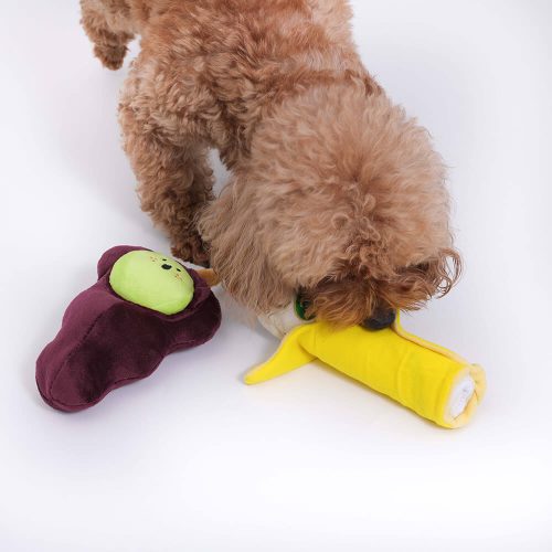 Funnyfuzzy PlushSqueakyDogToyFruit1