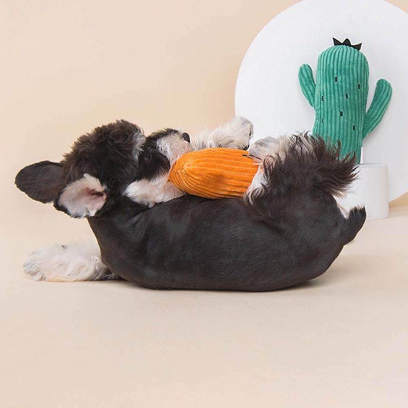 Funnyfuzzy PlushSqueakyDogToySetCactus6