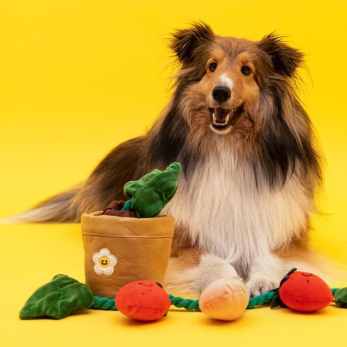 Funnyfuzzy PlushSqueakyDogToyStrawberryPotted10