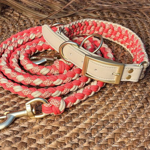 Hand Woven Leather Multifunctional Anti Pull Dog Collar and Leash Set 3