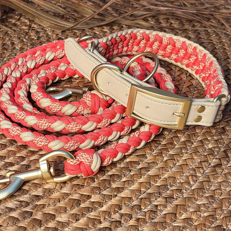 Hand Woven Leather Multifunctional Anti Pull Dog Collar and Leash Set 3