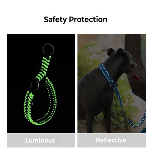 HandmadeAnti PullLuminousLargeDogCollarandLeash 4