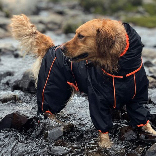 LargeDogOutdoorJacketWaterproofAdjustableDog 8