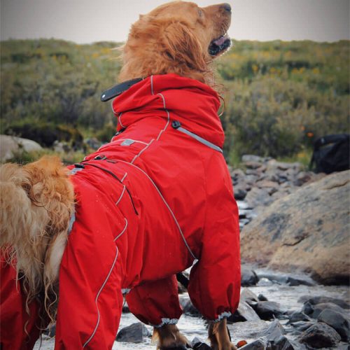 LargeDogOutdoorJacketWaterproofAdjustableDog 9