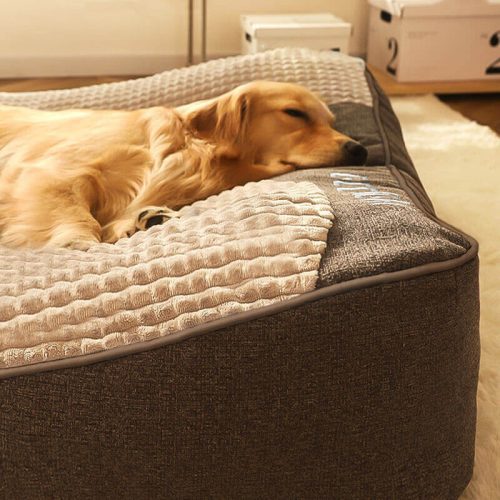 LargeThickScratch resistantSpineProtectionDogCushion 3 999017e3 68cc 4f11 b3b1 c4311b9f53f3