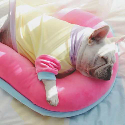 OrthopedicSpine SupportPillowDogSleepPillow 7