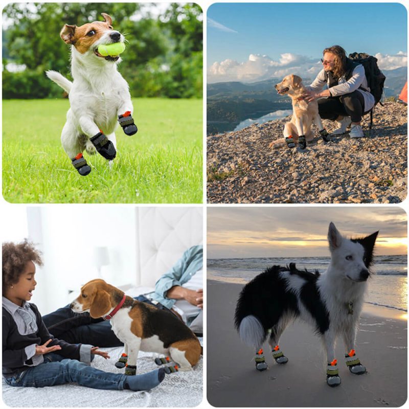 OutdoorBreathableHikingRunningAnti slipDogShoes 4 c1b9d3f1 0031 48b9 aec8 1e23f4fbce70