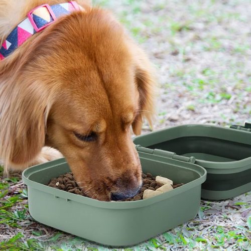 OutdoorPortableDouble layerFoldingPetBowl 9