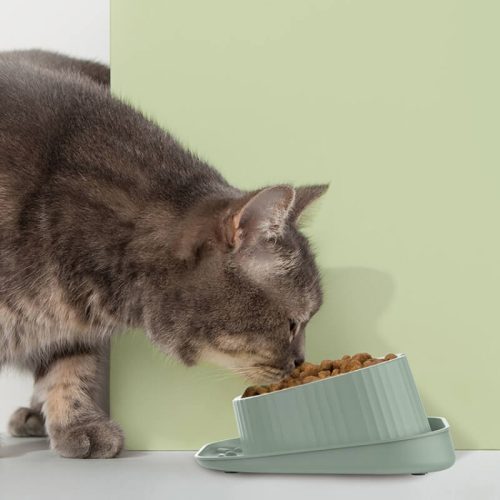 PetNeckGuardSpill proofFeedingBowl 5