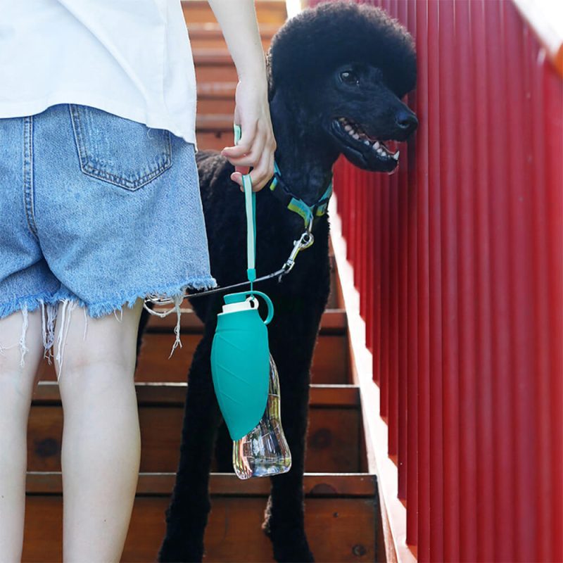 PortableLeaf ShapedOutdoorTravelWaterDispenserDogWaterBottle 2