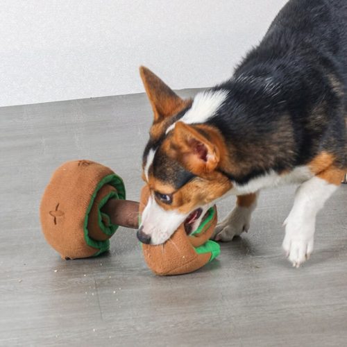 PuzzleFoodDispenserInteractiveDogDumbbellTreatToy 4