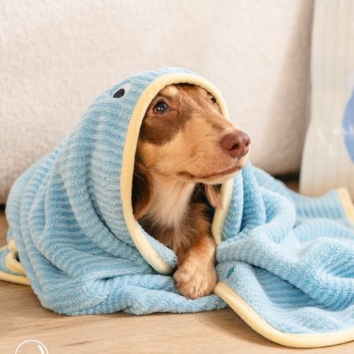 Soft Striped Quick Dry Absorbent Dog Bathrobe Towel 2