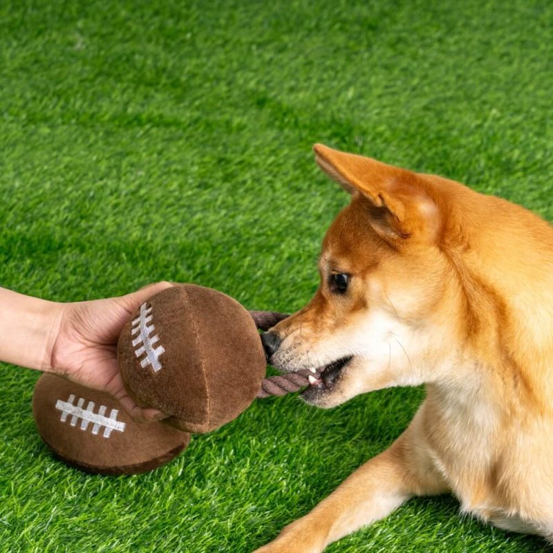 SuperBowlPlushRugbyFootballSoundToyDogInteractiveToy 1