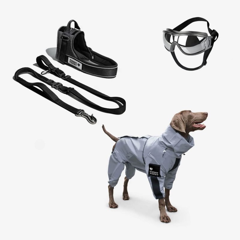 Swag SafeCoolDogAccessoriesWalkSet