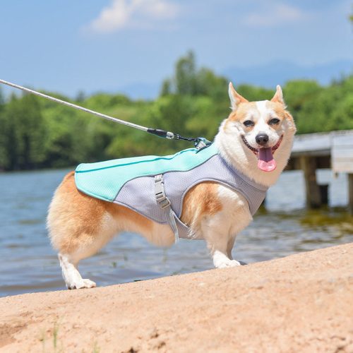 dogcoolingvest 7