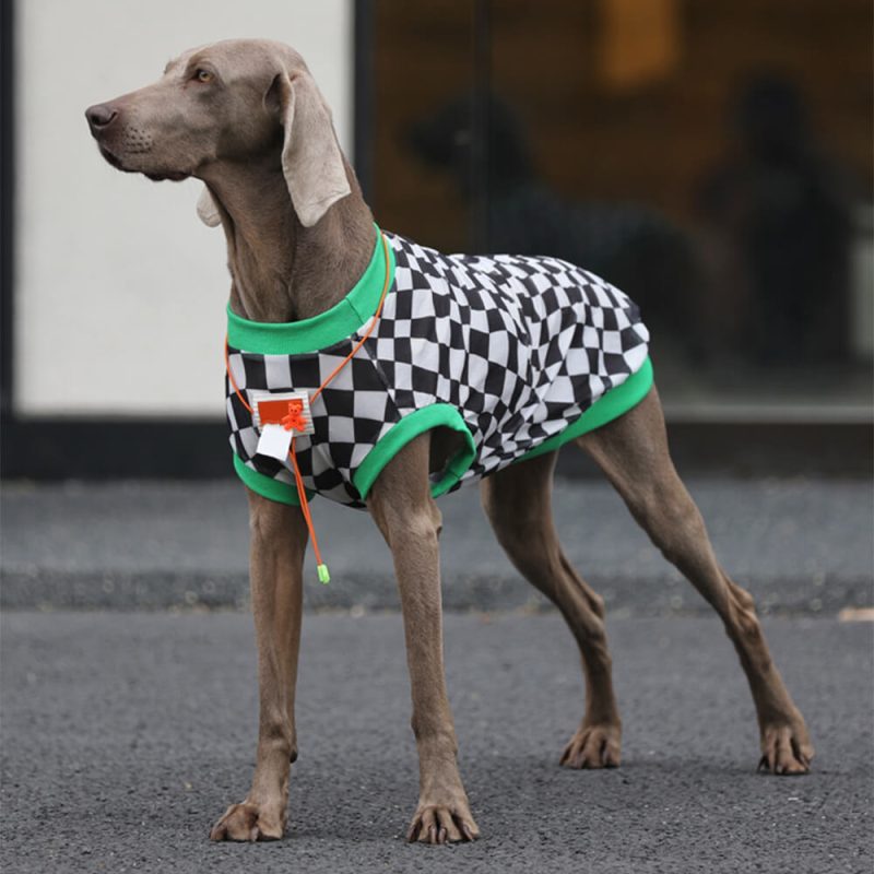 funnyfuzzyChicStyleCheckerboardBreathableMeshDogVest 1