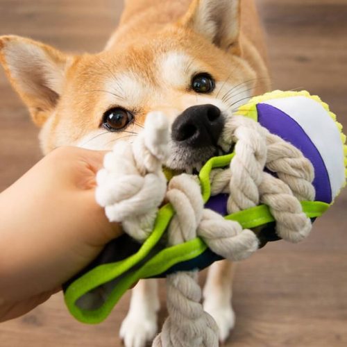 funnyfuzzyCottonRopeSlipperToyDogTeethingToy 2