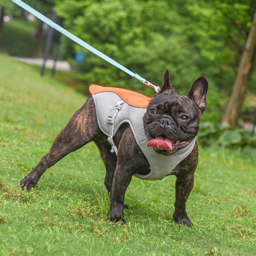 funnyfuzzyDogCoolingVest 10