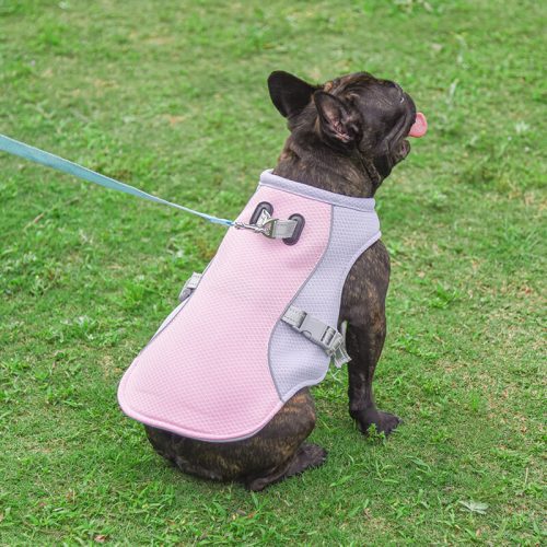 funnyfuzzyDogCoolingVest 13