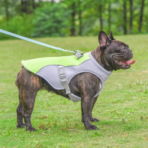 funnyfuzzyDogCoolingVest 14