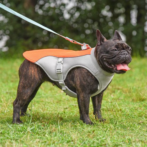 funnyfuzzyDogCoolingVest 8