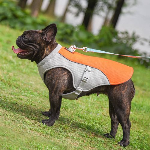 funnyfuzzyDogCoolingVest 9