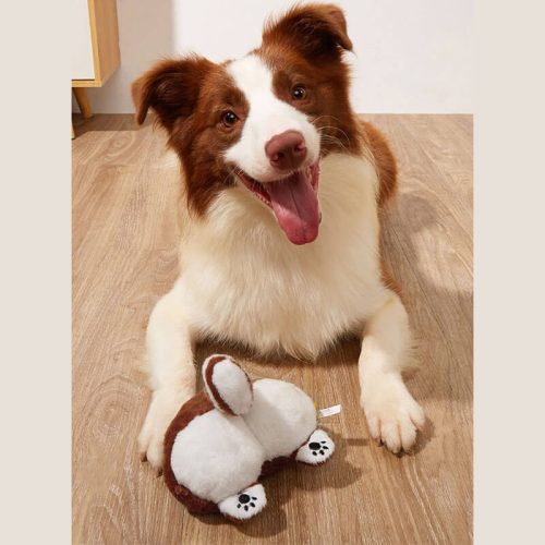 funnyfuzzyFunnyPlushSqueakyDogToy Butt 5