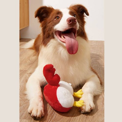 funnyfuzzyFunnyPlushSqueakyDogToy Butt 6