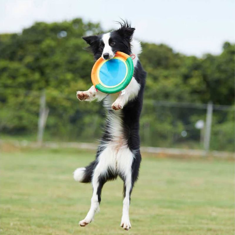 funnyfuzzyOutdoorInteractiveToyDurableOxfordClothDogFrisbee 2