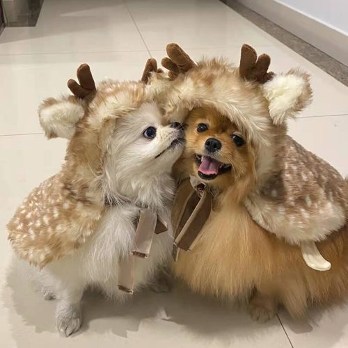 funnyfuzzyPetClothingPlushElkCapeDog CatCostumes 2