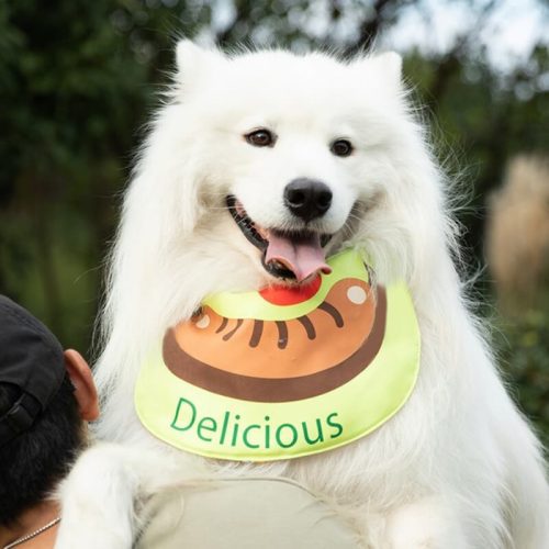 funnyfuzzyPetNeckerchiefWaterproofDogDroolBib Sausage 10