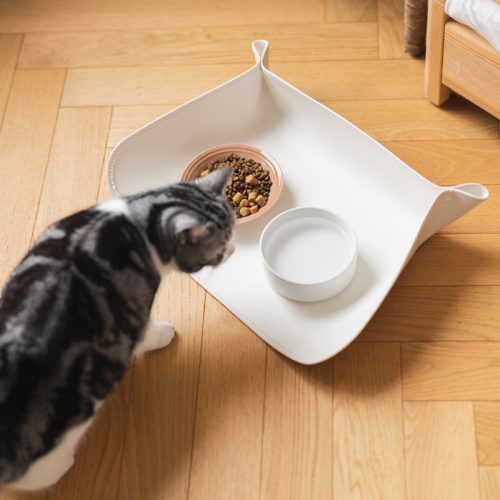 funnyfuzzyPetSpill proofBowlMatsWaterproof Greaseproof 4