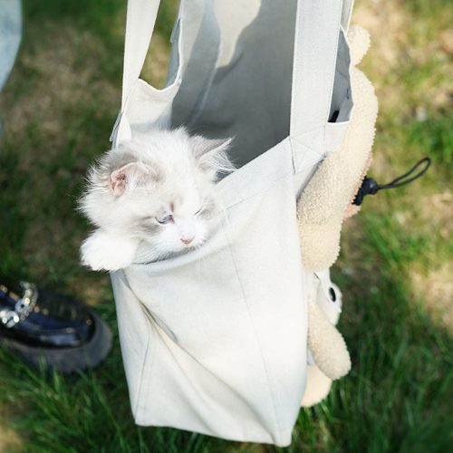 funnyfuzzyPortableBreathableTravelCatBackpack 9