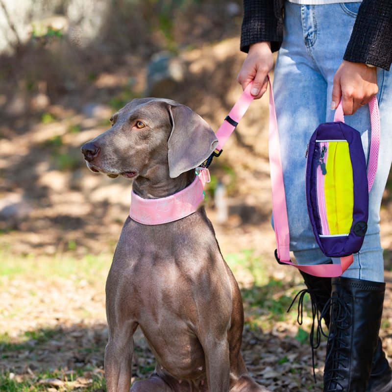 funnyfuzzyStylishComfortableNoPullDogCollar 1