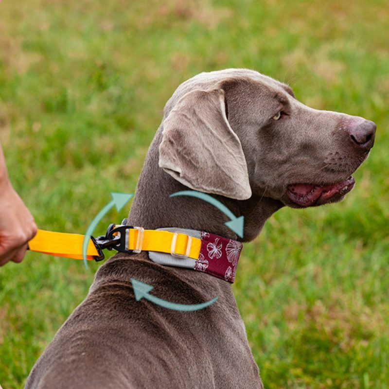 funnyfuzzyStylishComfortableNoPullDogCollar 6