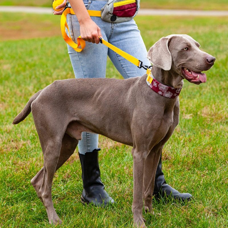 funnyfuzzyStylishComfortableNoPullDogCollar 8