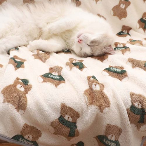 funnyfuzzySuperSoftPetBlanketCatKneadingBlanket 12