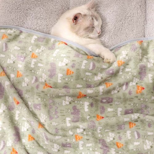 funnyfuzzySuperSoftPetBlanketCatKneadingBlanket 17