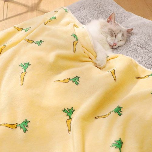 funnyfuzzySuperSoftPetBlanketCatKneadingBlanket 18