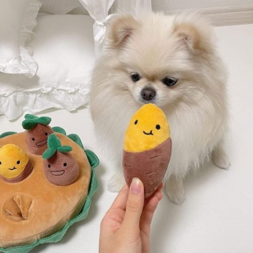 funnyfuzzySweetPotatoPullandSniffInteractiveDogPuzzleToySet 3