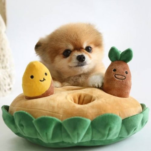 funnyfuzzySweetPotatoPullandSniffInteractiveDogPuzzleToySet 4