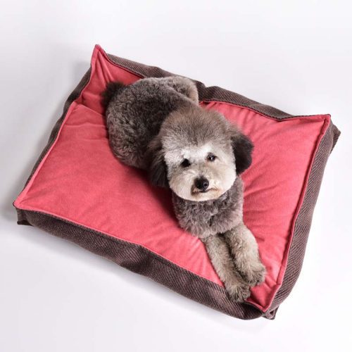 funnyfuzzyVintageClashingColoursSquareDogBedSleepingMat 2