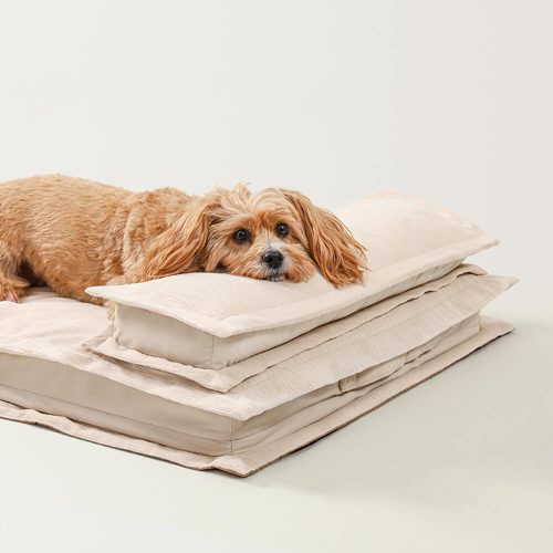 funnyfuzzyWaterproofAnti AnxietywithSpongeSupportDeepSleepingDogBed 10