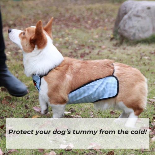 funnyfuzzyWaterproofPlaidPetSlobberBibDogBellyCover 11