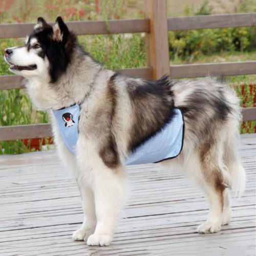 funnyfuzzyWaterproofPlaidPetSlobberBibDogBellyCover 9